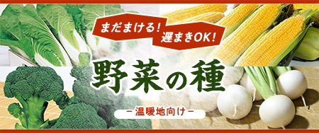 まだまける！遅まきOK！野菜の種（温暖地向け）