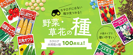 カタログにはない種が見つかる！野菜・草花の種 カタログ未掲載の種100点以上！
