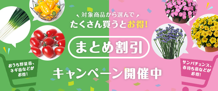 対象商品から選んで たくさん買うとお得！ まとめ割引 キャンペーン開催中！ ※まとめ割引は同日出荷商品に限ります。