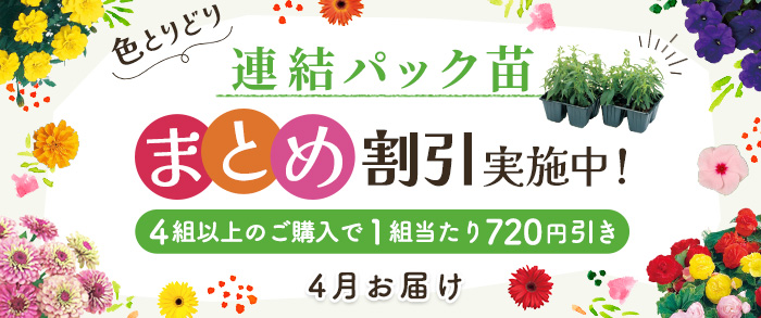 【2025年4月発送予定】連結パック苗　まとめ割引対象商品