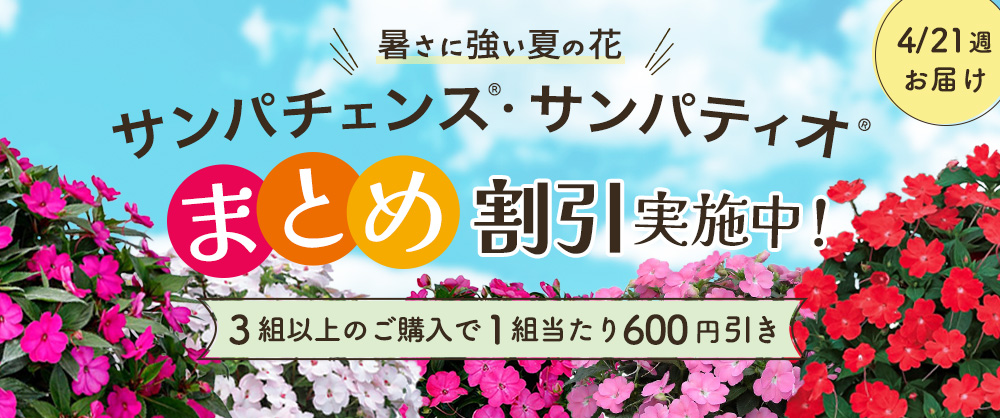 【2025年4月21日週発送予定】サンパチェンス・サンパティオ　まとめ割引対象商品