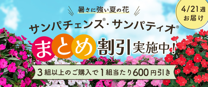 【2025年4月21日週発送予定】サンパチェンス・サンパティオ　まとめ割引対象商品