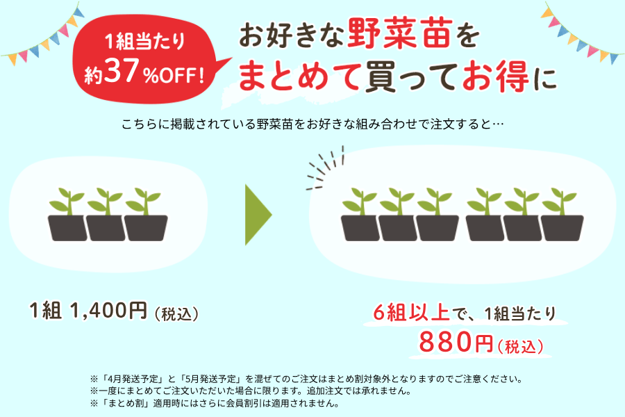 1組当たり最大約37％OFF！お好きなおうち野菜苗をたくさん買うとお得に！