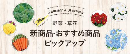 夏まき・秋まき用の野菜の種・草花の種 新商品・おすすめ商品ピックアップ