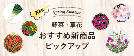 野菜・草花（種・苗・球根）春のおすすめ新商品ピックアップ