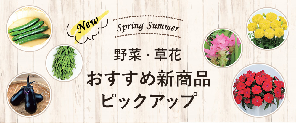 野菜・草花（種・苗・球根）春のおすすめ新商品ピックアップ