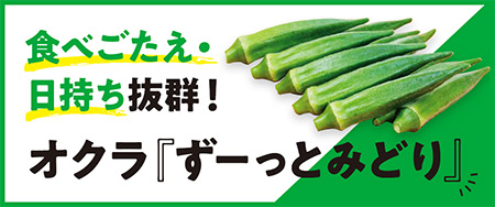 食べごたえ・日持ち抜群！オクラ「ずーっとみどり」