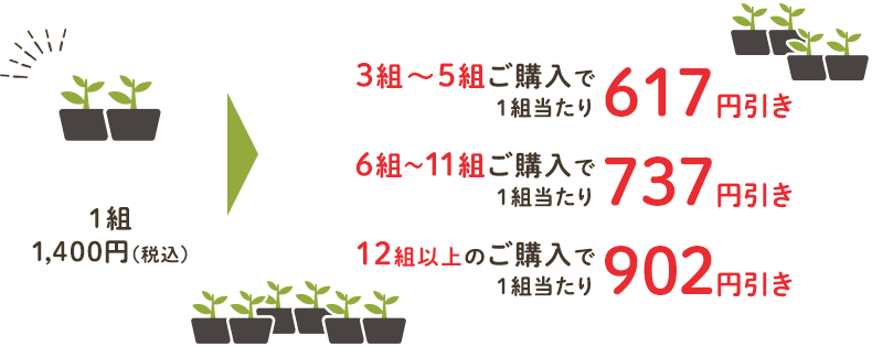 通常1組1,400円（税込）のところ、3～5組ご購入で1組当たり617円引き、6～11組ご購入で1組当たり737円引き、12組以上のご購入で1組当たり902円引き！