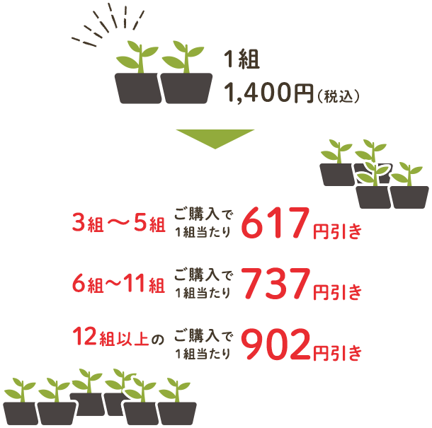 通常1組1,400円（税込）のところ、3～5組ご購入で1組当たり617円引き、6～11組ご購入で1組当たり737円引き、12組以上のご購入で1組当たり902円引き！