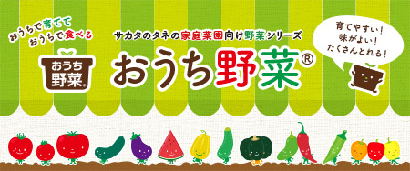 おうちで育てて、おうちで食べる 家庭菜園向け野菜シリーズ おうち野菜(R)