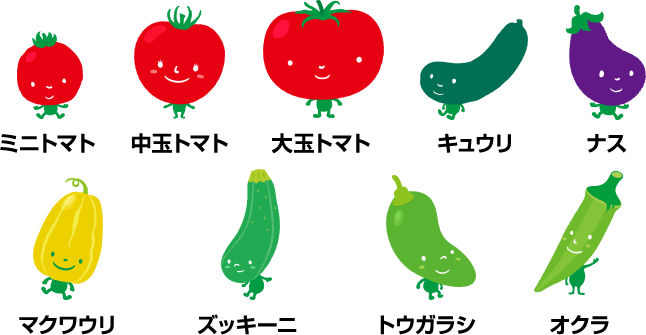 もっと野菜を育てたくなる次世代の苗 おうち野菜 種 タネ 球根 苗の通販はサカタのタネ オンラインショップ