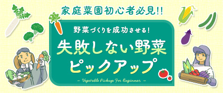 野菜づくりを成功させる！失敗しない野菜ピックアップ