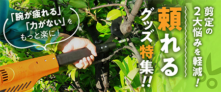 剪定の2大悩みを軽減！頼れるグッズ特集