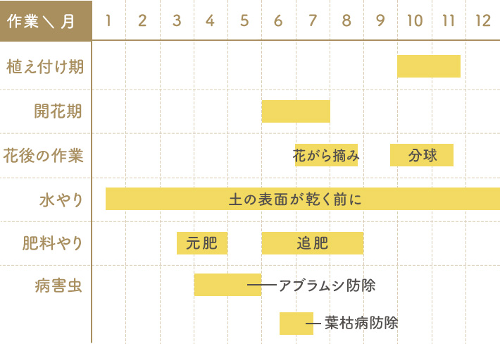 ユリの栽培カレンダー（関東標準）
