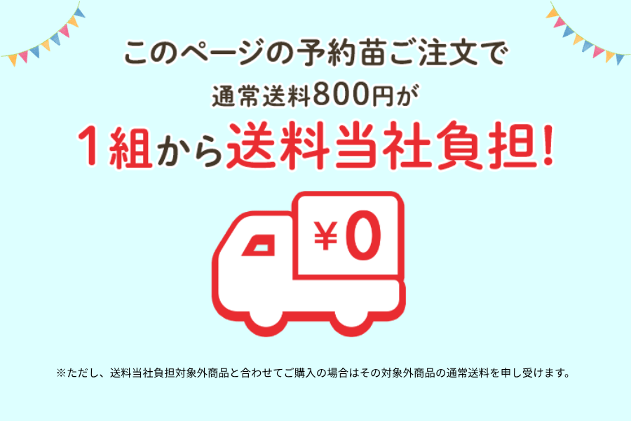 このページのおうち野菜苗ご注文で、通常送料800円が1組から送料当社負担！