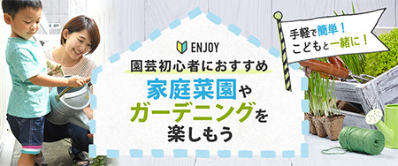 園芸初心者におすすめ 家庭菜園やガーデニングを楽しもう