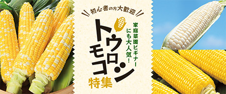 初心者の方大歓迎 家庭菜園ビギナーにも大人気!トウモロコシ特集