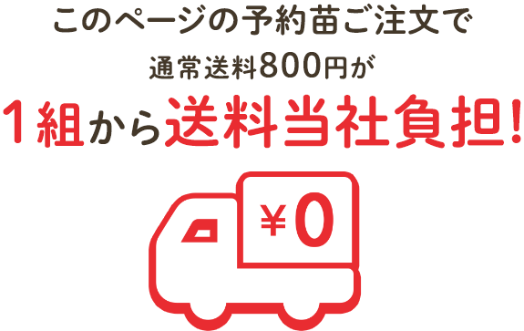 通常送料800円のところどの商品を購入しても1組から送料当社負担