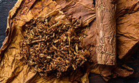 タバコの葉のイメージ写真